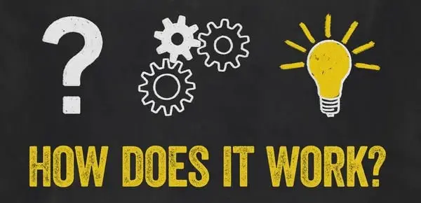 how does the brain song work